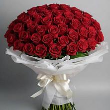 Букет 101 Красная роза Блэк Мэджик в Пестово