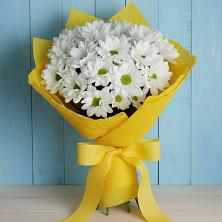 Букет цветов из:  Хризантемы в Пестово