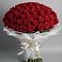 Букет 101 Красная роза Блэк Мэджик в Пестово