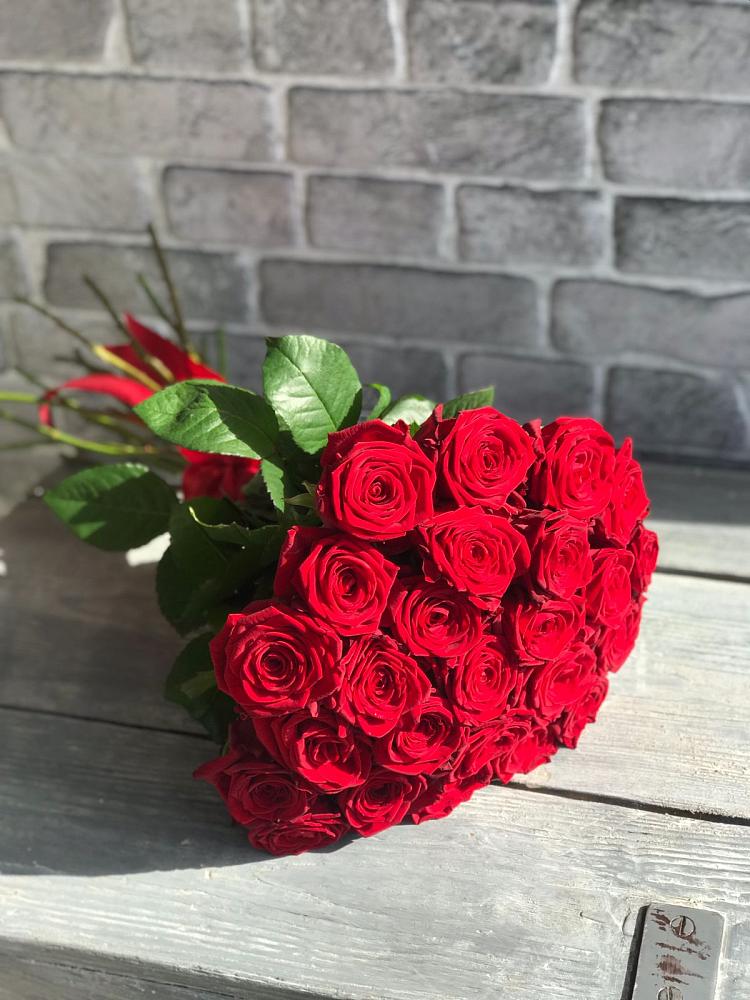 Букет Красные розы Фридом в Пестово