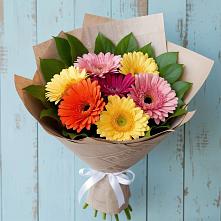 Букет цветов из:  Герберы в Пестово