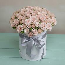 Цветочная композиция из Розы в шляпной коробке #REPLACE_PRED# Пестово