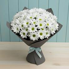 Букет цветов из:  Хризантемы #REPLACE_PRED# Пестово