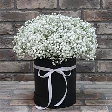 Цветочная композиция из Гипсофила в шляпной коробке в Пестово