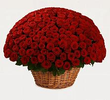 Премиум букет из: Розы в Пестово